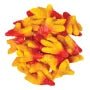 Gummy Voodoo Chicken Feet - Swedish Godis Shop - Swedish Candy Shop